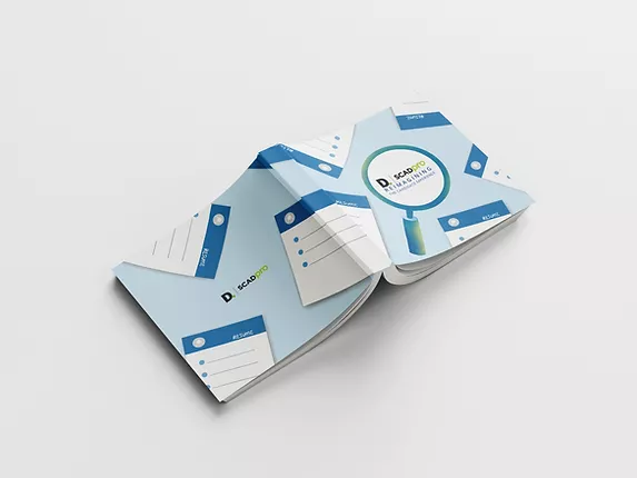 Process_Book_Deloitte